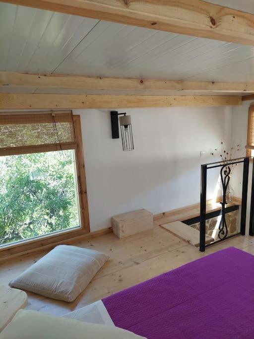 Afionas Das Gruene Haus Eksteriør bilde